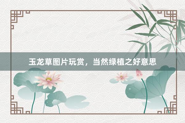 玉龙草图片玩赏，当然绿植之好意思