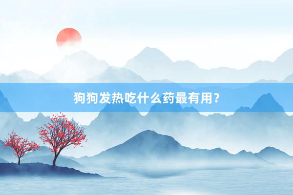 狗狗发热吃什么药最有用？